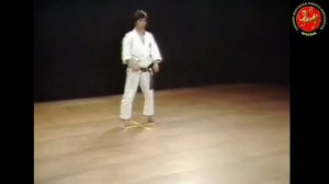 12 - Ката Хангэцу (Hangetsu) Шотокан Каратэ