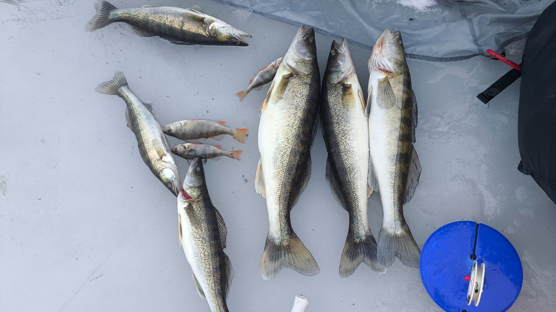 Закрытие зимнего сезона 2026