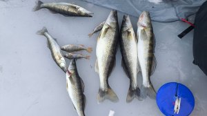 Закрытие зимнего сезона 2026