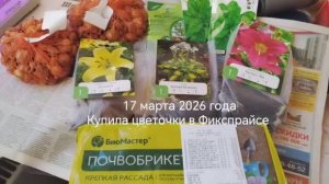 17 марта 2026 года  цветы из  Фикспрайса и не только #цветывфикспрайсе, #обзорпокупок, #фикспрайс