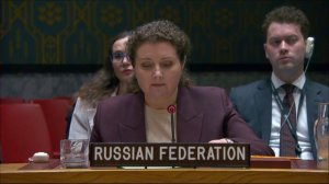 Выступление А.М.Евстигнеевой на заседании СБ ООН по работе Комитета СБ 1540