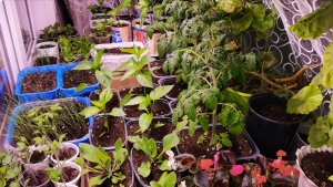 Не верьте каждому слову! Люди теряют связь с реальностью в погоне за выгодной.