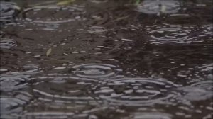 Лучшая в мире классическая инструментальная музыка, расслабляющая гитарная музыка снимает стресс