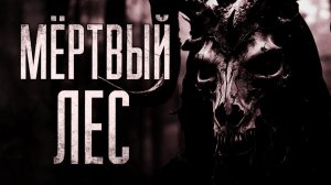 В ЭТОМ ЛЕСУ ПРОПАДАЮТ ЛЮДИ! страшные истории | ужасы | мистика