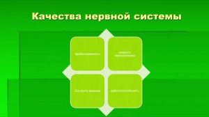 Причины школьных трудностей у современных детей