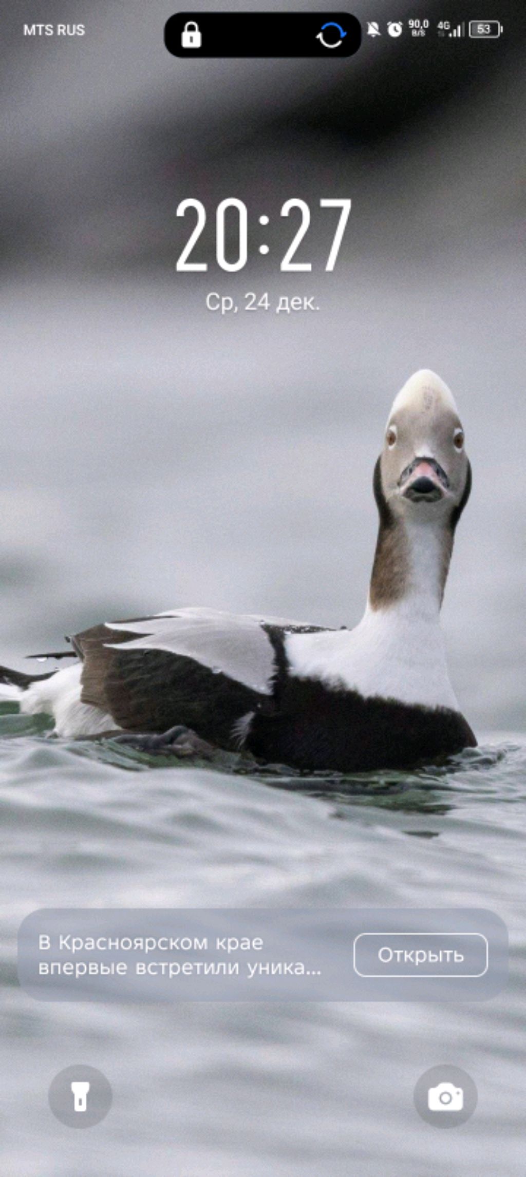 The Eterlal Culender