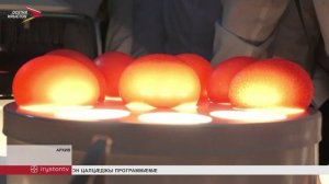 Змейкӕйы 2-æм скъолайы æнтытсджынæй архайынц агротехкъласы