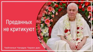 Преданных не критикуют