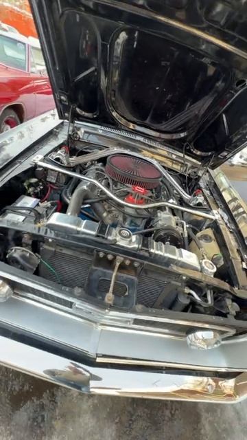 Пробуждение GT500