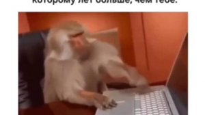 Центр карьеры