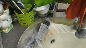 Вечерняя готовка!