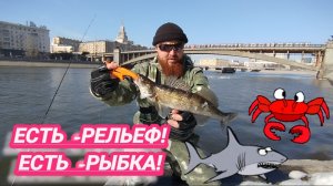 ЕСТЬ РЕЛЬЕФ+ЕСТЬ РЫБА!АНОМАЛИИ!РЫБАЛКА НА СПИННИНГ ДОННАЯ ОСНАСТКА