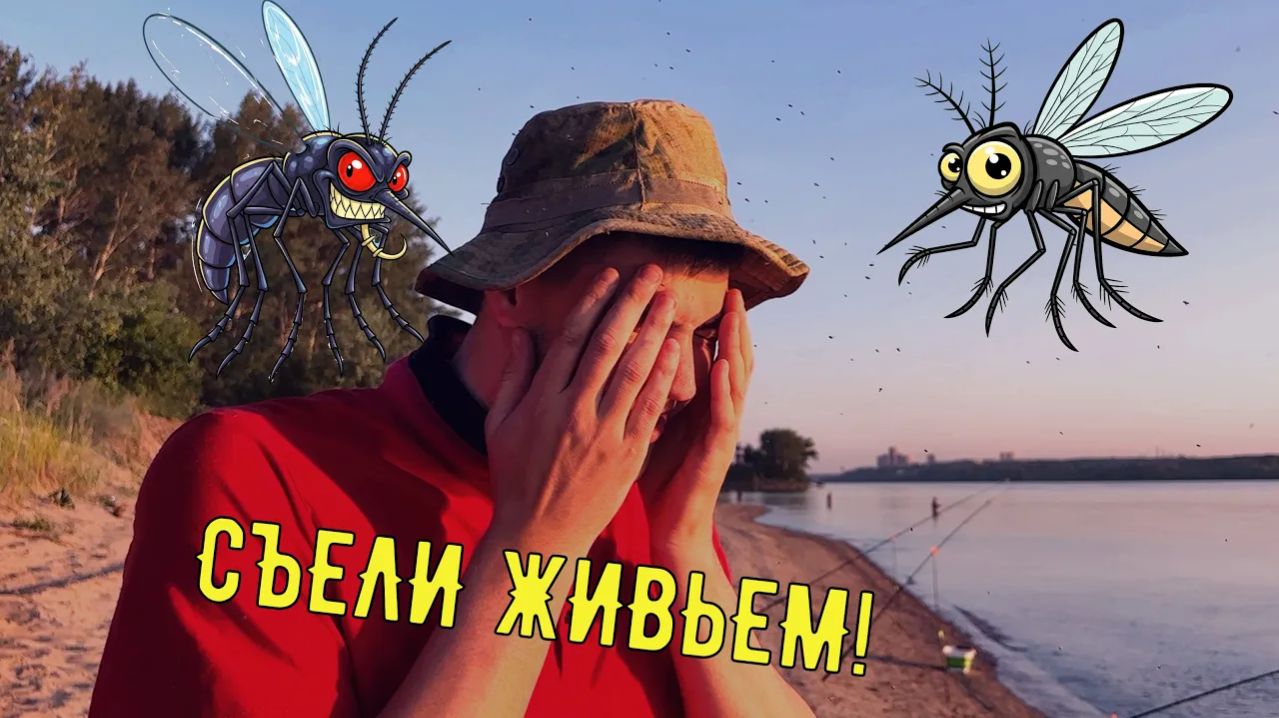 Меня съели КОМАРЫ и МОШКА, а не рыба клевала. Честная рыбалка на Оби.