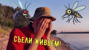 Меня съели КОМАРЫ и МОШКА, а не рыба клевала. Честная рыбалка на Оби.