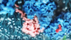 Эволюция невозможна? Выслушаем и другую сторону