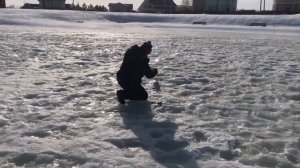 ещё одна форель на льду