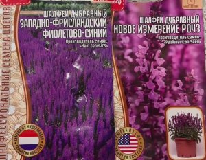 Шалфей дубравный. Нью деменш Роуз.Посев Дубль 3