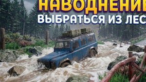 НАВОДНЕНИЕ В ЛЕСУ ( DrainSim )