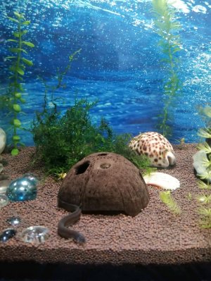 Аквариум