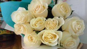 17.03.2026 День рождения вместе  с вами🌺🌺🌺💓💓💐💐💐