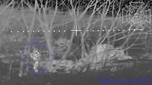 Уничтожение живой силы противника в приграничье.