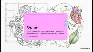 Биология 5 класс параграф 8 ОРГАНИЗМ – ЕДИНОЕ ЦЕЛОЕ краткий пересказ