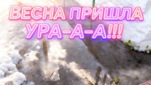 Весна наступила у нас наконец-то ура-а-а 💃как уже 2 день!!!