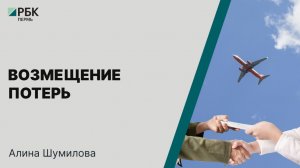 Возмещение потерь | Алина Шумилова