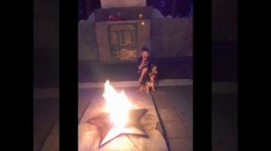 Пафос у вечного огня (Алёна Далида)