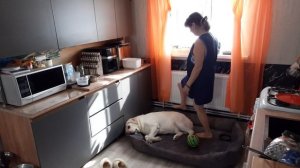 Замес тесто на хлеб . моя жизнь в деревне . ОПЯТЬ ИГРАЛ С НЕВЕСТОЙ ВСЮ НОЧЬ