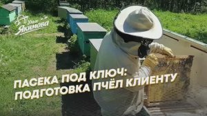 Пасека под ключ — помогу вам начать пчеловодство без ошибок