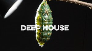 Музыка в Машину 2026 🚘 | Deep House Микс | музыка для фона