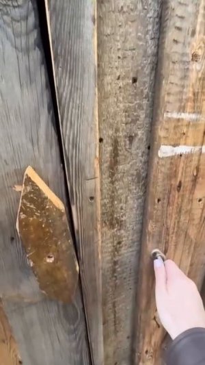 Бабушкин туалет