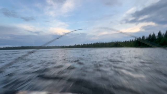 Водометные приключения 2025 - 2
