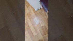 раздача  православных  газет у атамана  шалатова  по  благославлению  владыки  тарасия