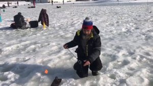 поимка форели на молька