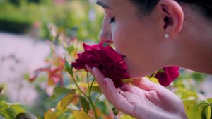 Крымские ароматы французских духов