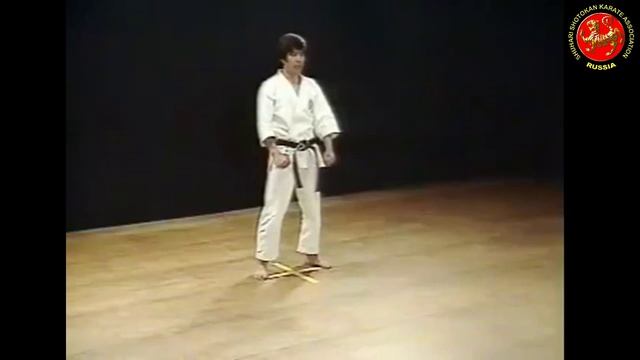 03 - Ката Хэйан Сандан (Heian Sandan) Шотокан Каратэ