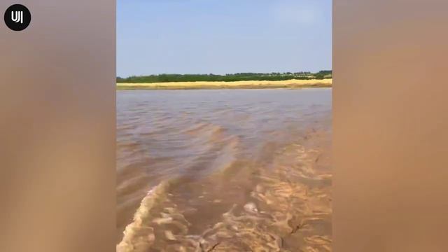 Incredible Moments Caught on Camera (2)