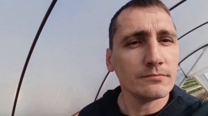 Начало цветения у растений клубники, выращиваемой под плёночными укрытиями в Адыгее.