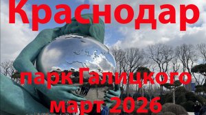 Краснодар 8 марта 2026г