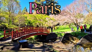 Весна в японском саду недалеко от Парижа 🌸 | Цветение сакуры. Прогулка