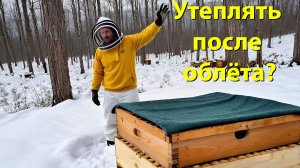 Когда утеплять пчёл после выставки? / Чтобы матка не сеяла рано / Совет Кашковского