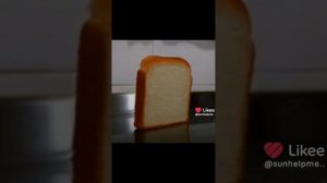 ВИДОСЫ С ЛАЙКА) КОТЯТА У МЕНЯ НЕТУ АККА В ЛАЙКЕ/ВИДОСЫ НЕ МОИ