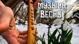 Флейта Свирель / Весеннее чудо в этнической музыке