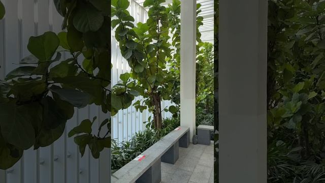 Остров Ханьянь, бухта Сяо Дунхай, отели