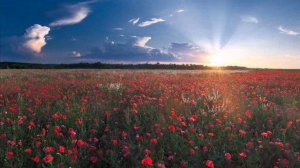 Слава Новороссии !