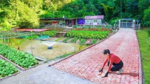 Сложила из красных кирпичей красивую длинную дорожку, ведущую к воротам. Серия 55. Ли Фук Ви