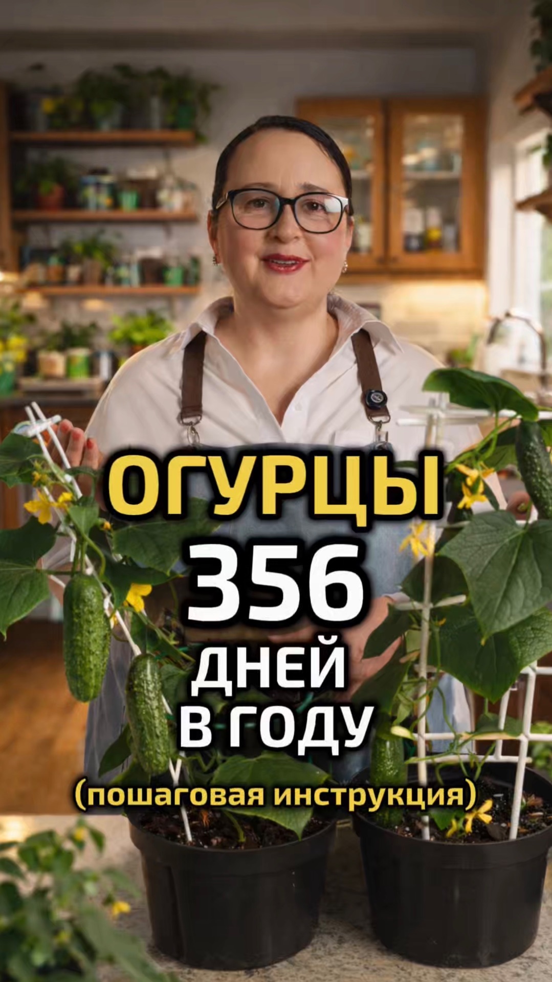 Огурцы 365 дней в году!