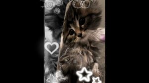 ★САТ Идея Не Моя★